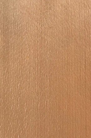 NZ Beech NZ Beech