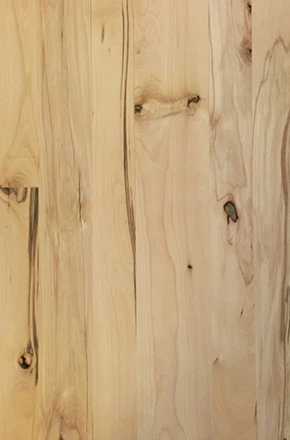 Rustic Beech