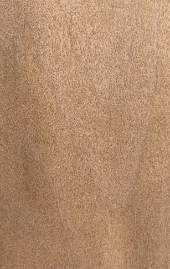 Beech, Euro Stmd Crown Cut