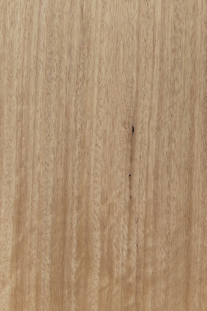 NSW Blackbutt - Crown Cut