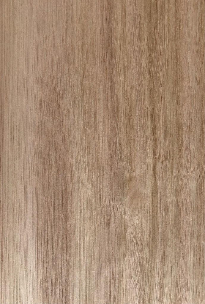 Eucalypt Oak Premium - Crown Cut
