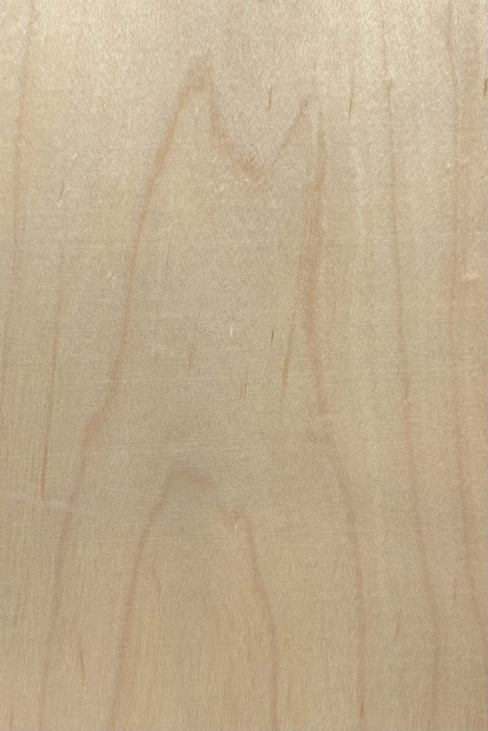 Rock Maple - Crown Cut