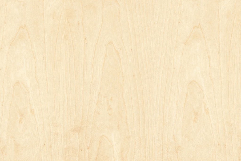 European Birch Crown Cut
