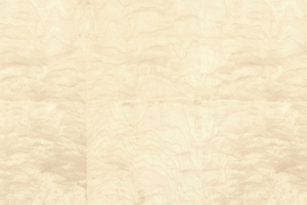 Quilted European Birch