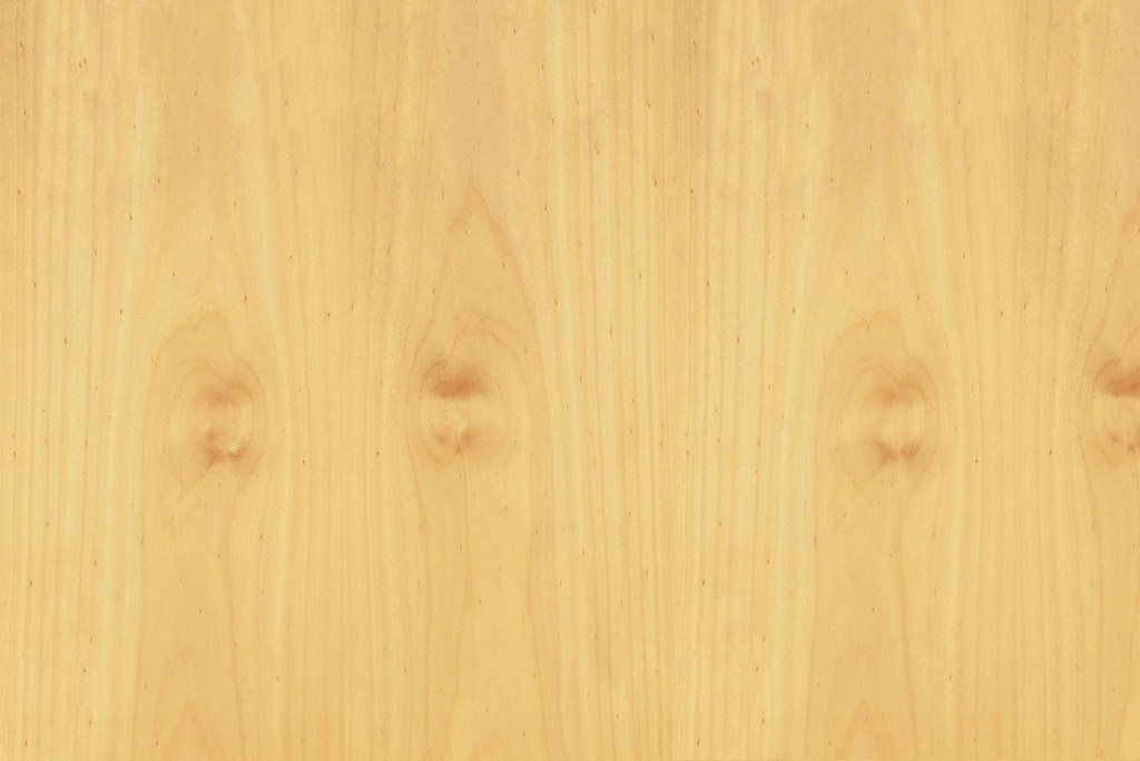 Hoop Pine - Crown Cut