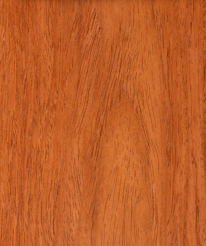 New Guinea Rosewood - Crown Cut