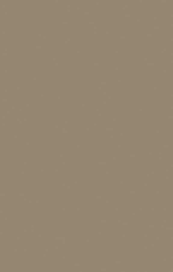 GSC134 Mud Ash (Colours - Suede)
