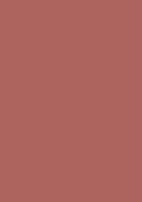 SAT138 Terracotta (Colours - Satin)