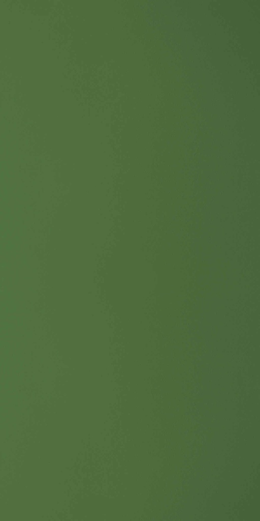 GSC245 Dark Green (Colours - Suede)