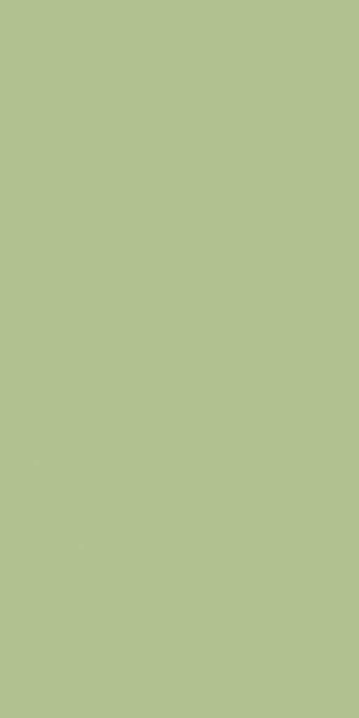 GSC246 Pista (Colours - Suede)