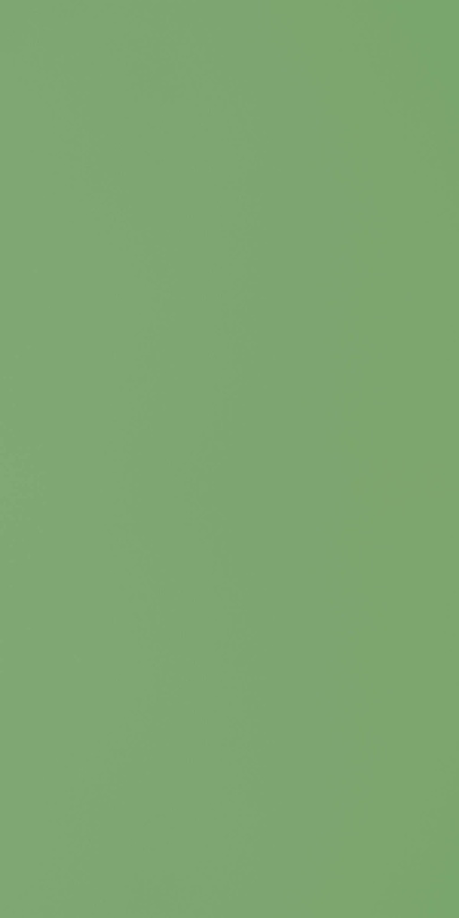 GSC248 Leaf Green (Colours - Suede)