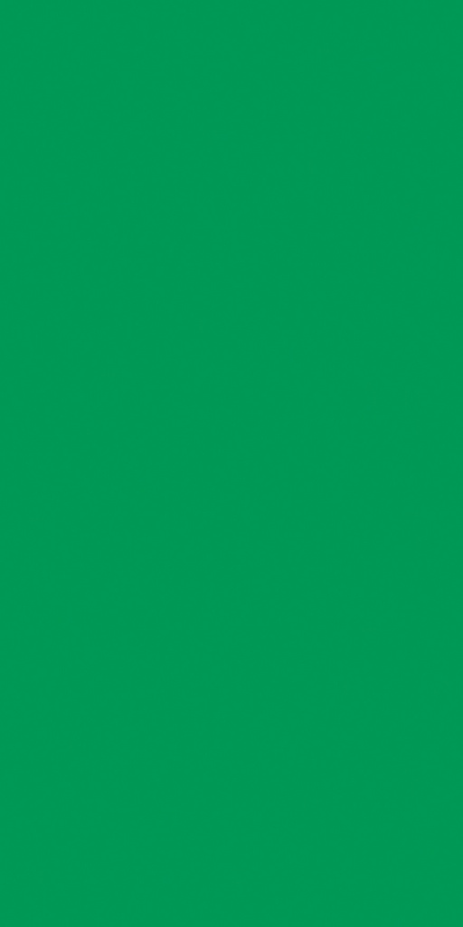 GSC250 Grass Green (Colours - Suede)