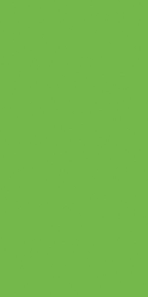 GSB259 Lime (Colours - Suede)