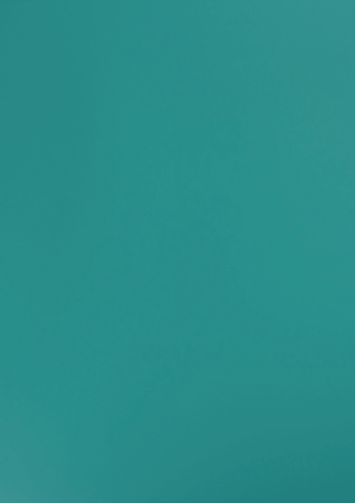 GSC260 Aqua Green (Colours - Suede)