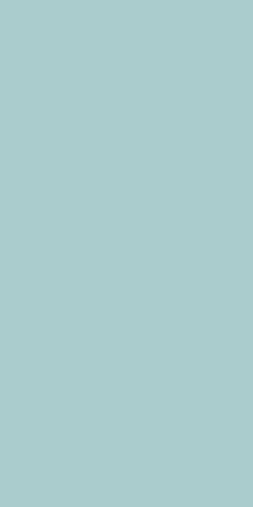 GSC273 Sky Grey (Colours - Suede)
