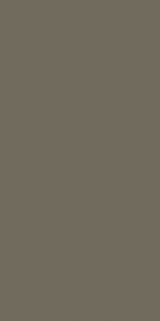 SAT274 Pine Nut (Colours - Satin)