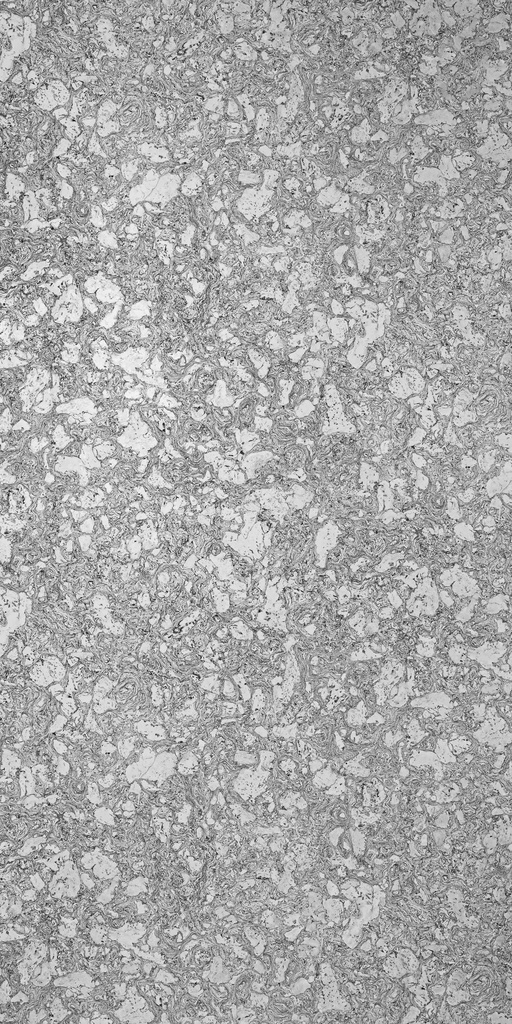 PAT940 Neptuno Pearl (Patterns - Satin)