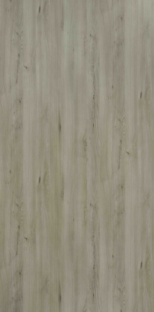 WVB5332 Italian Beech (Woods - Veracious Bark)