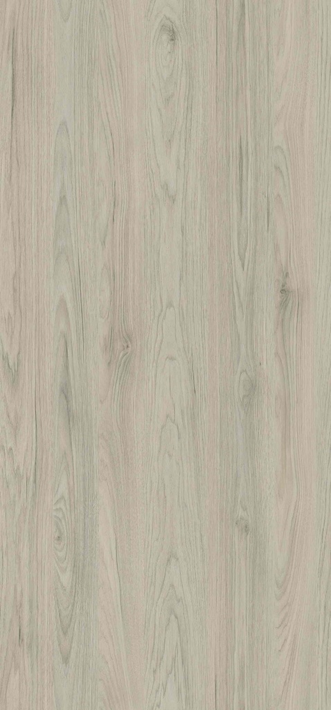 WSN5372 Grey Magic (Woods - Santhia)