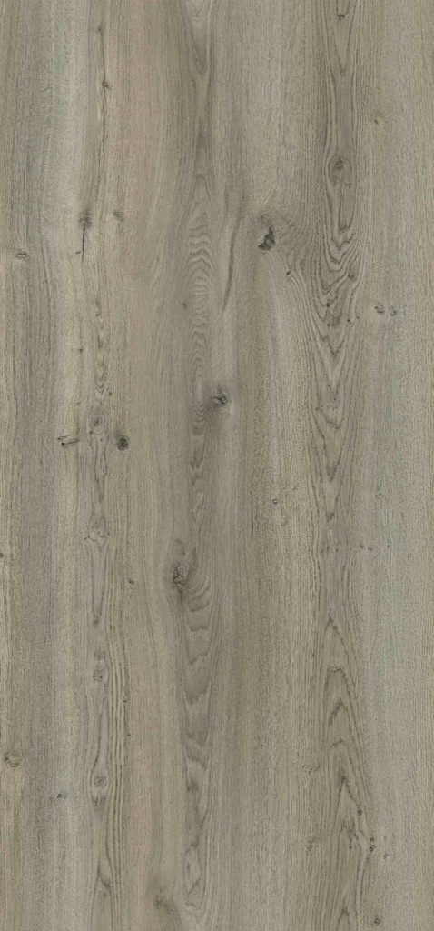 WAR5373 Aspen Oak (Woods - Aria)