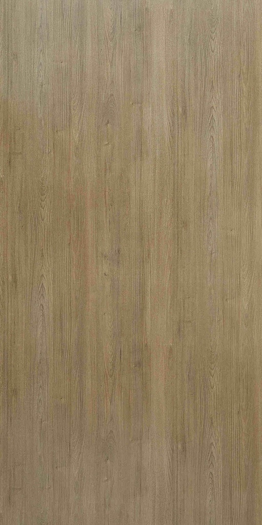 WSN5420 Autumn Elm (Woods - Santhia)