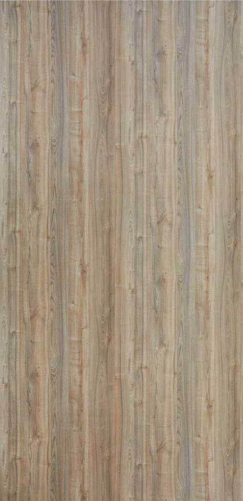 WVB5449 Noce Dolceza (Woods - Veracious Bark)